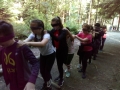 DSC_0738
