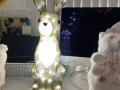 m_o_53419_dw3wdvgbpsap0ytv3vtkwztdj7ws57ts