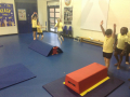 activities-on-forward-roll-2