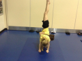 pair-balance-3